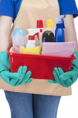 Closeup of Hands of Housewife Holding  Cleaning Gear