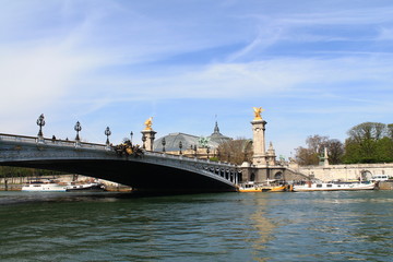 Fototapeta na wymiar Pont Alexandre 3, Paris