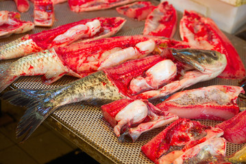 cut fish prepared for selling