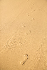 Fototapeta na wymiar footprints 1