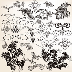 Collection of vector decorative flourishes