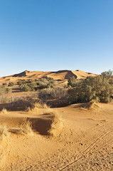 Dunes of Erg Chebbi at Morocco