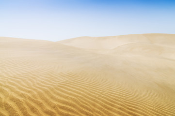 Fototapeta na wymiar Sand dunes on the beach in Maspalomas.