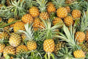 pineapple tropical fruit - obrazy, fototapety, plakaty