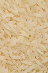 brown rice is destroy by weevil