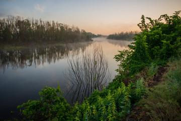 summer morning and the river