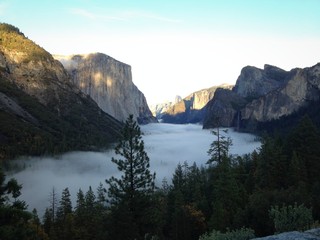 tunnel view