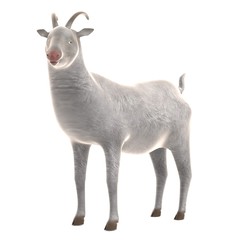 realistic 3d render of goat