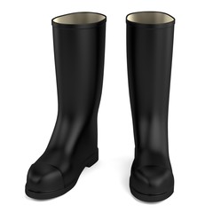 realistic 3d render of gum boots