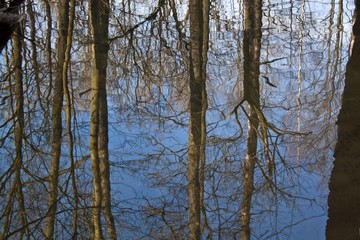 water reflection