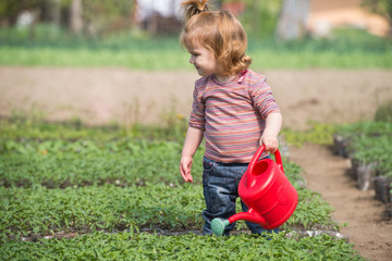 little girl watering © Dusan Kostic