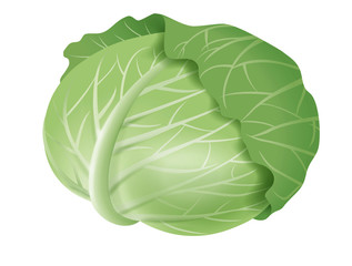 Cabbage