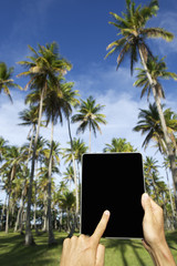 Traveling Tourist Using Tablet Palm Grove Brazil