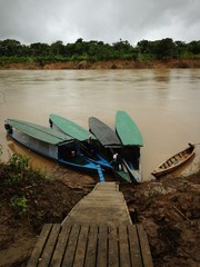 Pérou, sur la rivière Tambopata