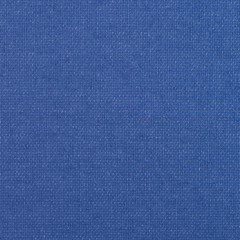 Blue vinyl texture