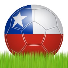 Chilean soccer ball on the lawn