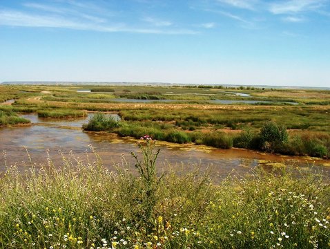 Laguna de Nava, Ciudad Real 
