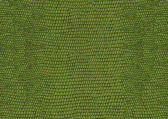 Image of Green snakeskin printed on Printed Glass Splashbacks