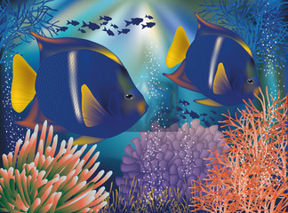 Underwater world wallpaper with tropical fish