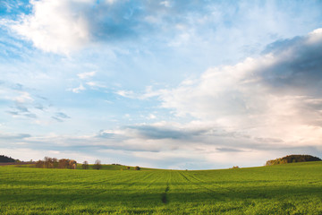 Fototapeta na wymiar Nature - Landscape Photo with Green Field and Sky with Clouds