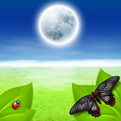 Full moon, green grass and insects