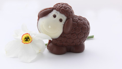 Mouton et son narcissse