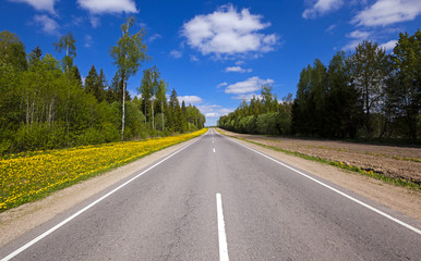 Fototapeta na wymiar summer road - the asphalted road to summertime of year. along the road trees grow