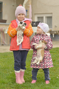 deux soers et chiots