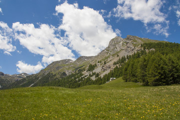 Fototapeta na wymiar Prato di montagna