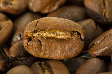 the mature grain of coffee photographed by a close up
