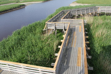 Promenade dans le marais