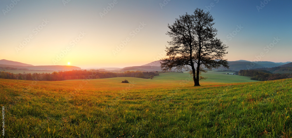 Aufkleber spring landscape with tree and sun