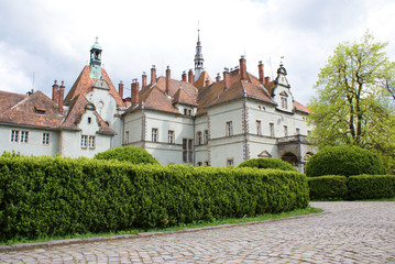 Fototapeta na wymiar Schonborn Palace in Chynadiyovo