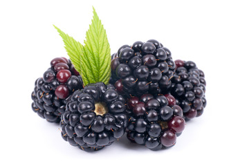 Brombeeren © Christian Jung