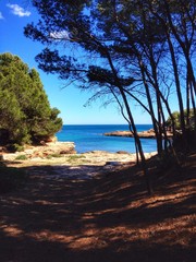 torrent del pi in Spain