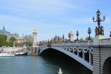 Fototapeta na wymiar Pont Alexandre 3, Paris