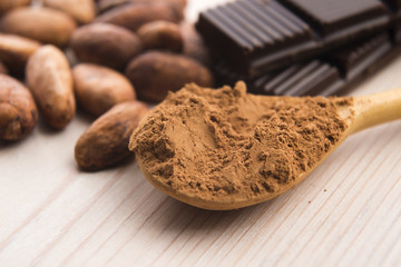Cocoa (cacao) beans with chocolate