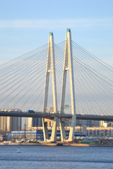 Obraz premium Cable-Stayed Bridge in St.Petersburg