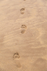 Fototapeta na wymiar Barefoot prints on sandy beach