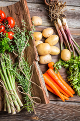 Fresh various vegetables on bark