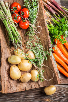 Various fresh vegetables on bark