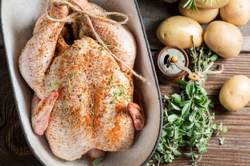 Closeup of spiced chicken with herbs in casserole dish