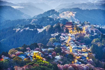  Yoshinoyama, Japan © SeanPavonePhoto