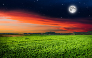 Fototapety na wymiar - Fototapeta24.pl