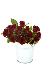 red roses in a bucket