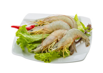 Raw tiger shrimps