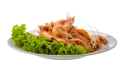Big tiger shrimps