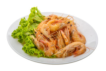 Big tiger shrimps