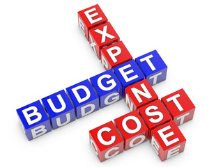 Expense Budget and Cost blue and red cubes over white Background
