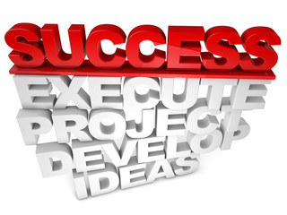 Success execute project develop ideas over white background